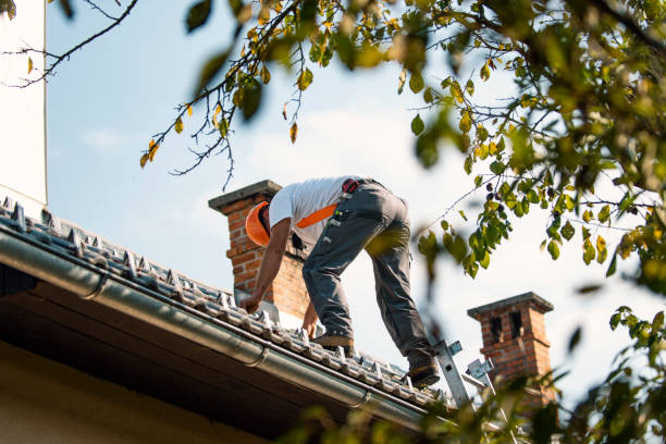 Best Flat Roof Repair Services  in Kent City, MI