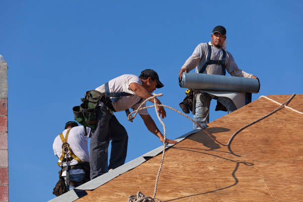 Best Metal Roofing Contractor  in Kent City, MI