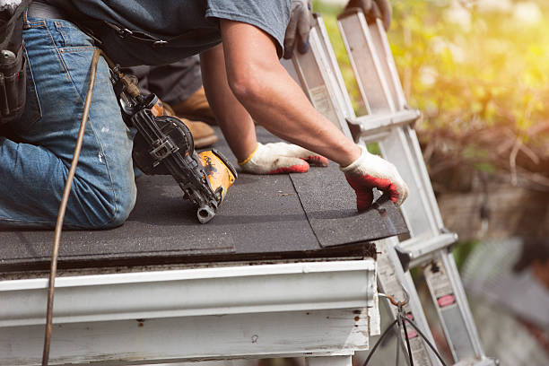 Best Roof Gutter Cleaning  in Kent City, MI