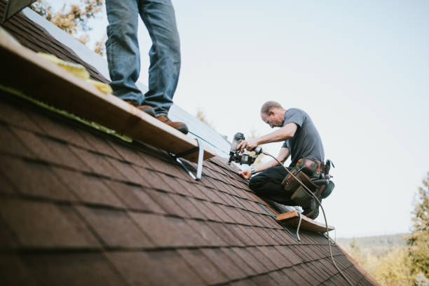 Best Roof Gutter Cleaning  in Kent City, MI